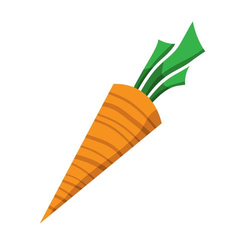Cartone animato carota vegetale vettore