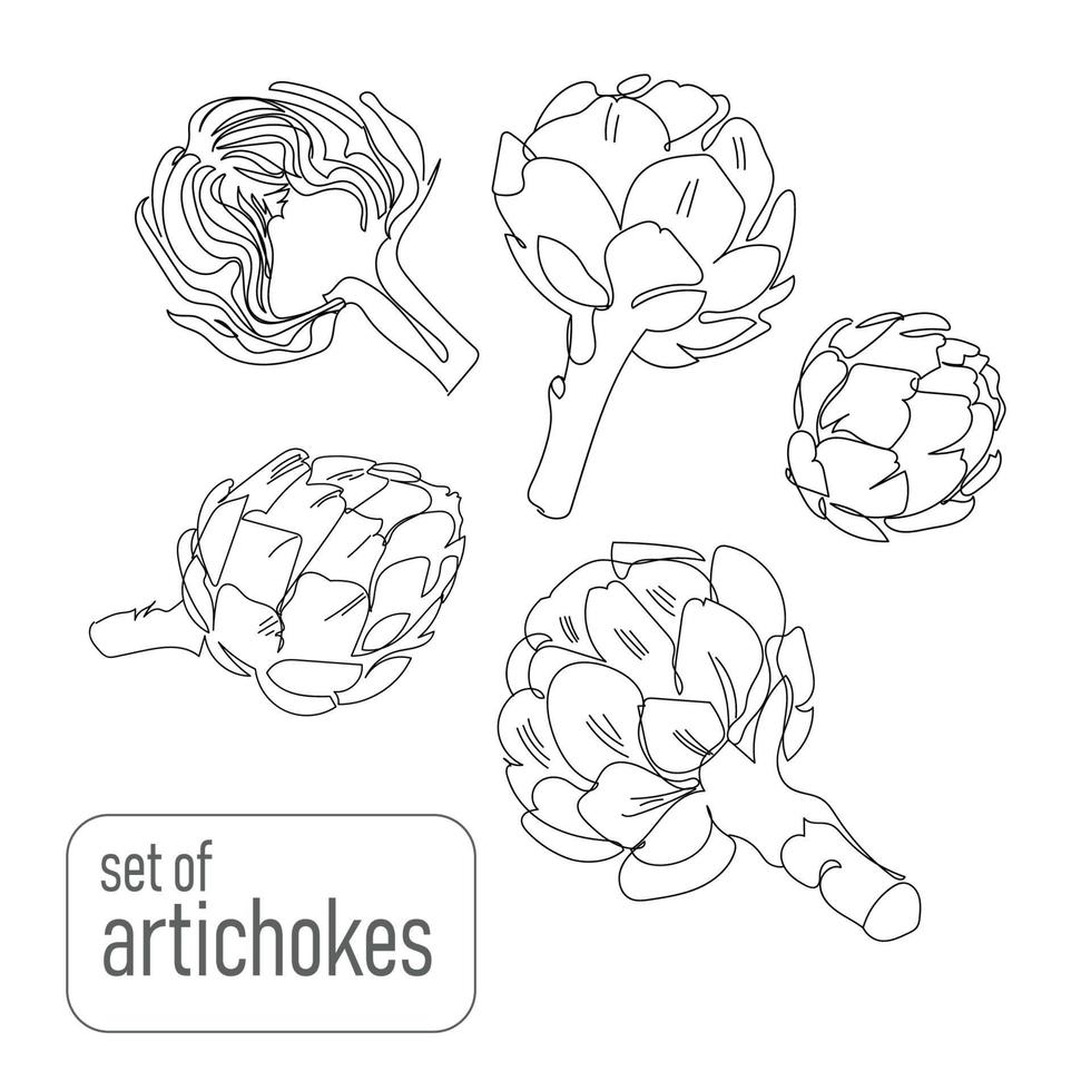 una serie di carciofi abbozzati in stile contorno, isolati su sfondo bianco. verdure biologiche carciofi, concetto di cibo sano, illustrazione vettoriale