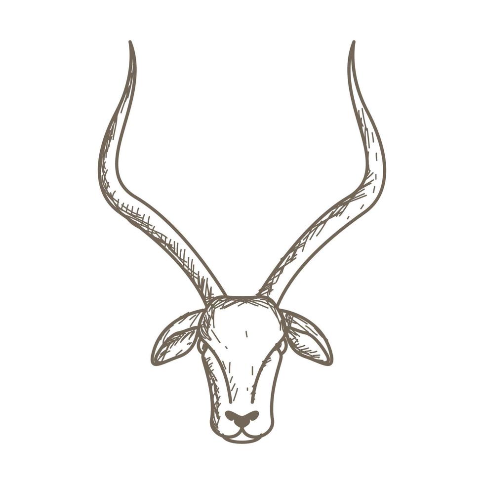 linee animali vintage testa antilope logo vettore simbolo icona disegno grafico illustrazione