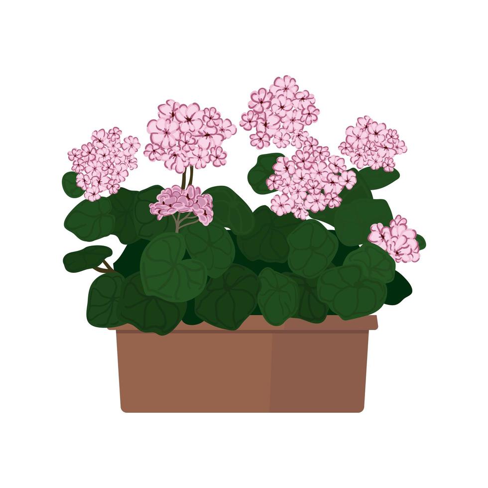 geranio in fiore nell'illustrazione del vaso vettore
