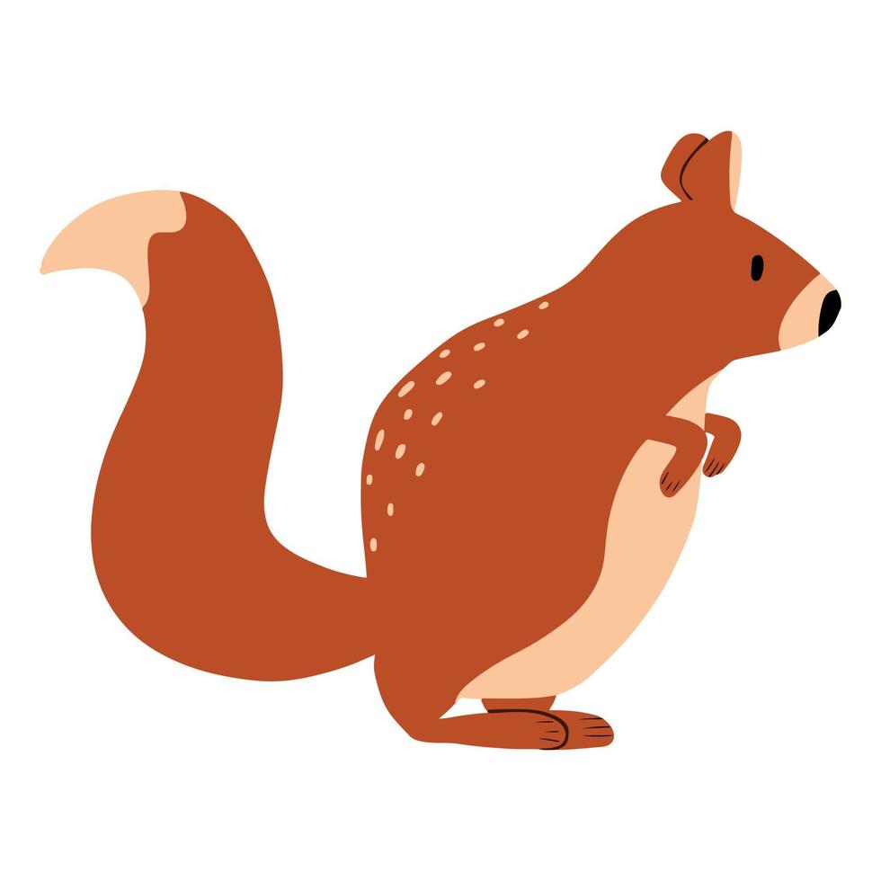 illustrazione per bambini di un simpatico scoiattolo isolato su uno sfondo bianco. scoiattolo della foresta disegnato a mano con stile cartone animato. vettore