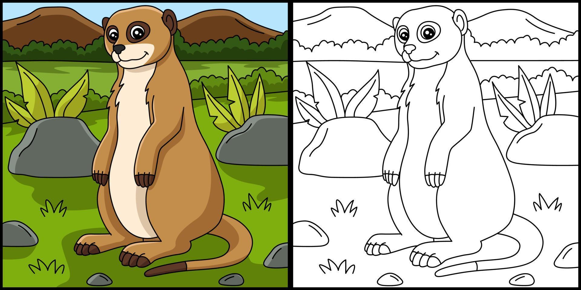 illustrazione vettoriale di suricato da colorare pagina