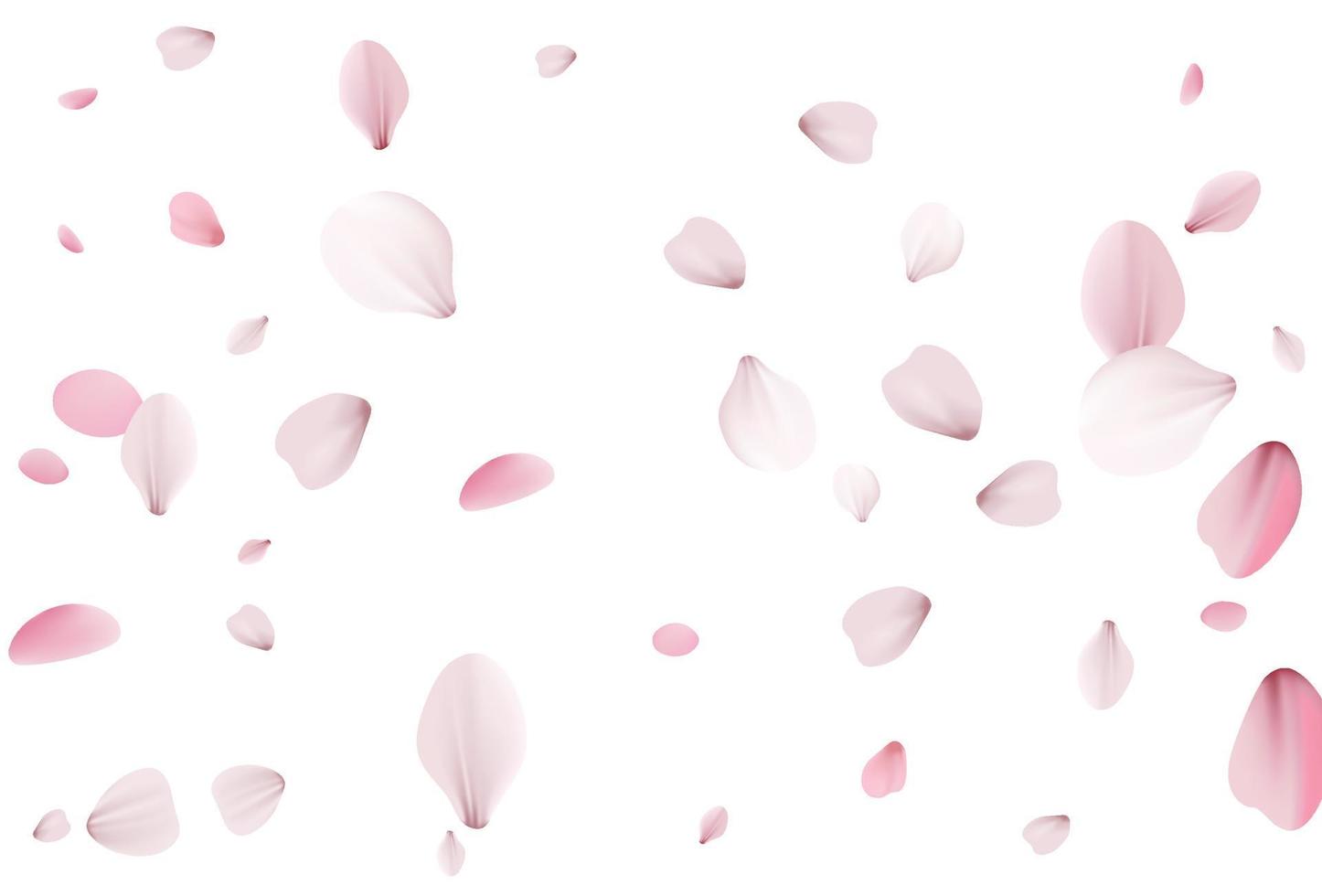 sfondo ciliegio, sfondo vettoriale sakura