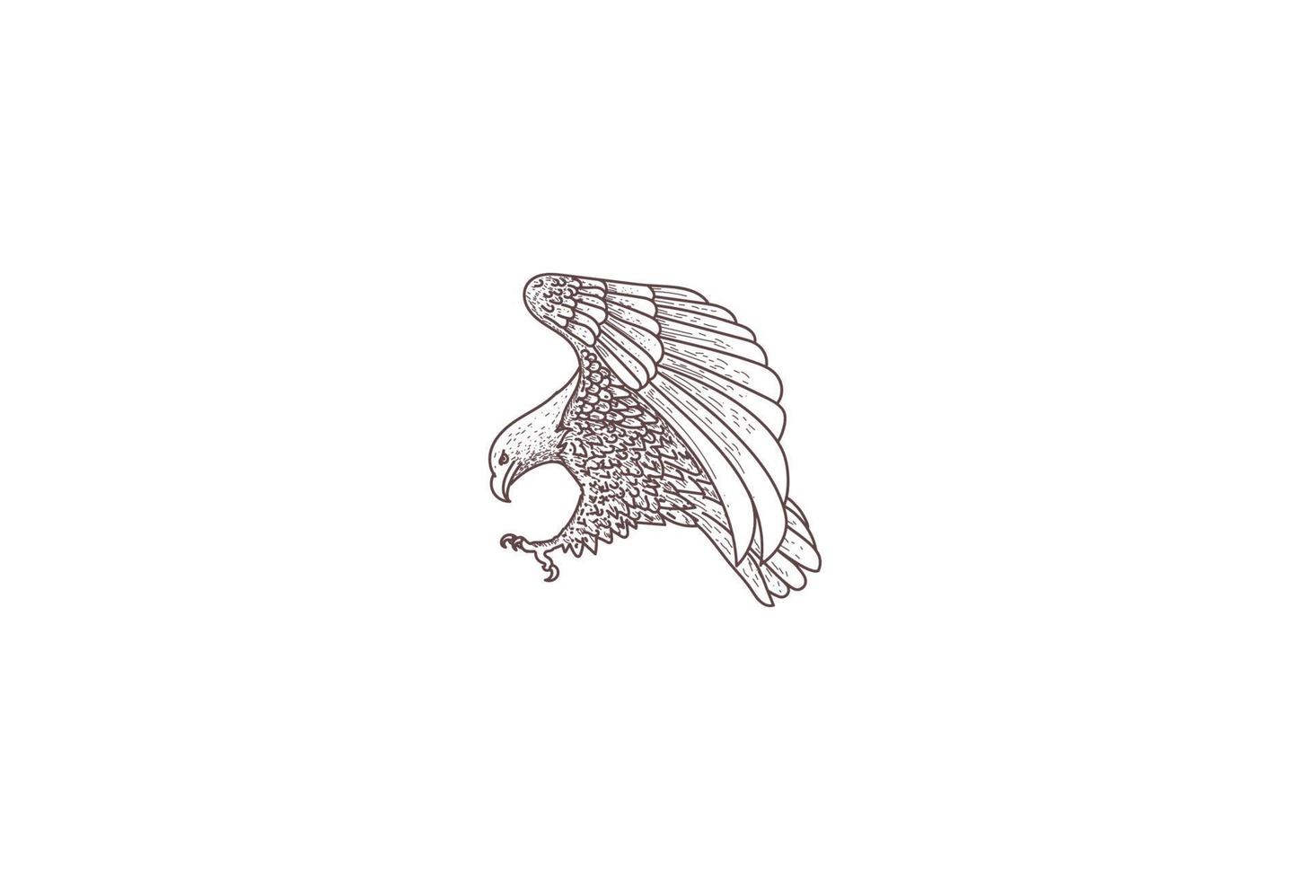 disegno del logo dell'uccello del falco del falco dell'aquila calva vintage retrò disegnato a mano vettore