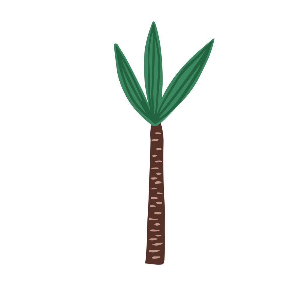 palma disegnata a mano isolata su sfondo bianco. scarabocchiare un albero esotico della foresta pluviale. vettore
