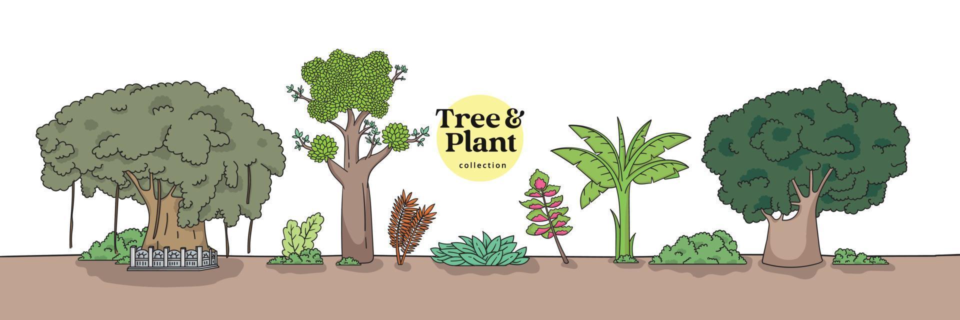 raccolta isolata di alberi e piante. illustrazione disegnata a mano di vari alberi. vettore