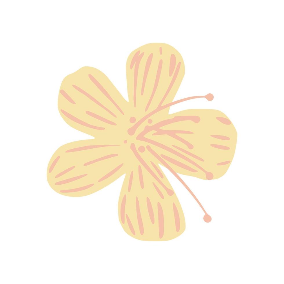 fiore bianco isolato su sfondo bianco. bella icona disegnata a mano fiore ciliegia. vettore