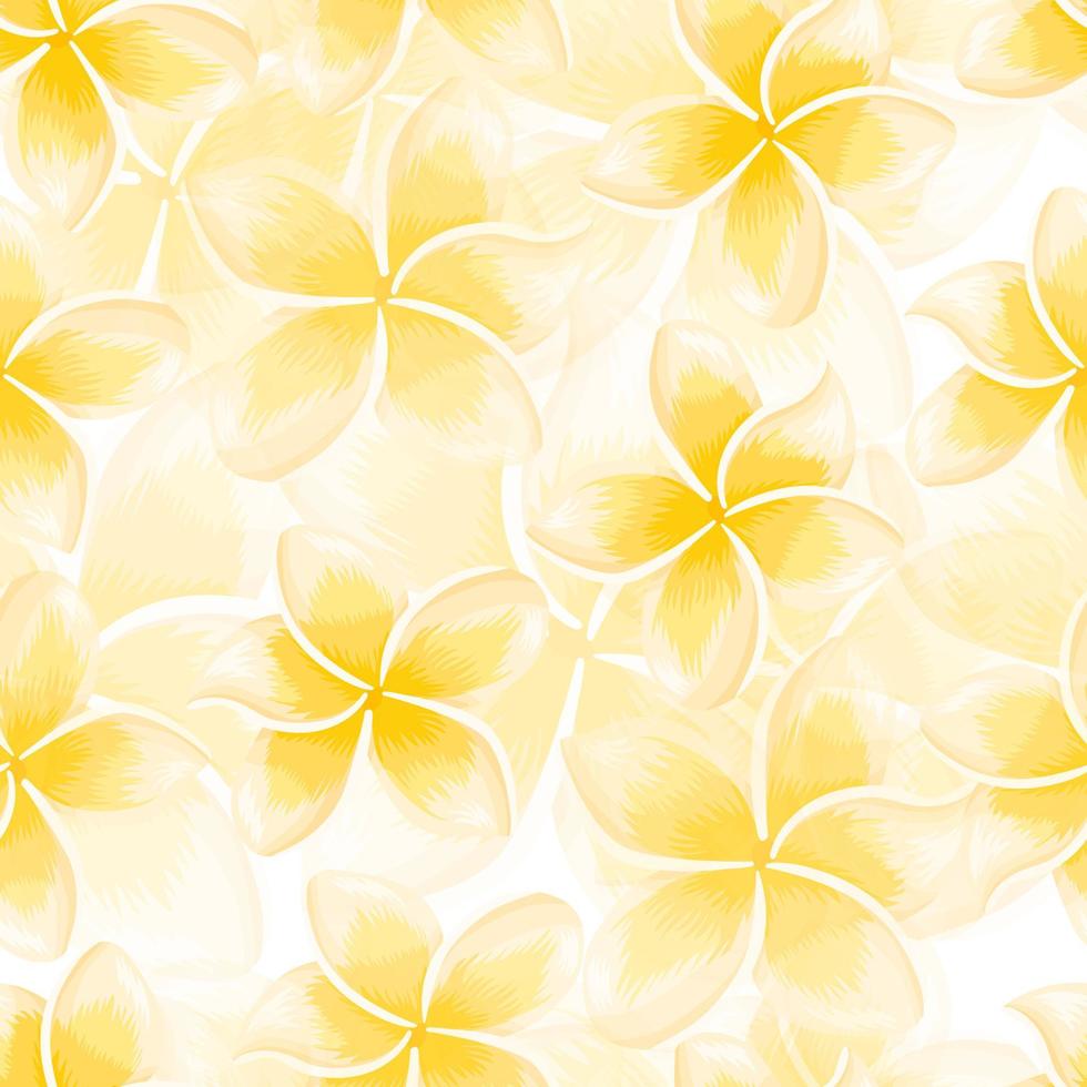 modello senza cuciture di plumeria in fiore giallo esotico. carta da parati fiori tropicali. vettore
