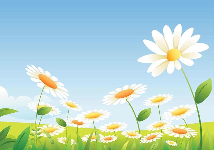 pacchetto daisy landscape vector