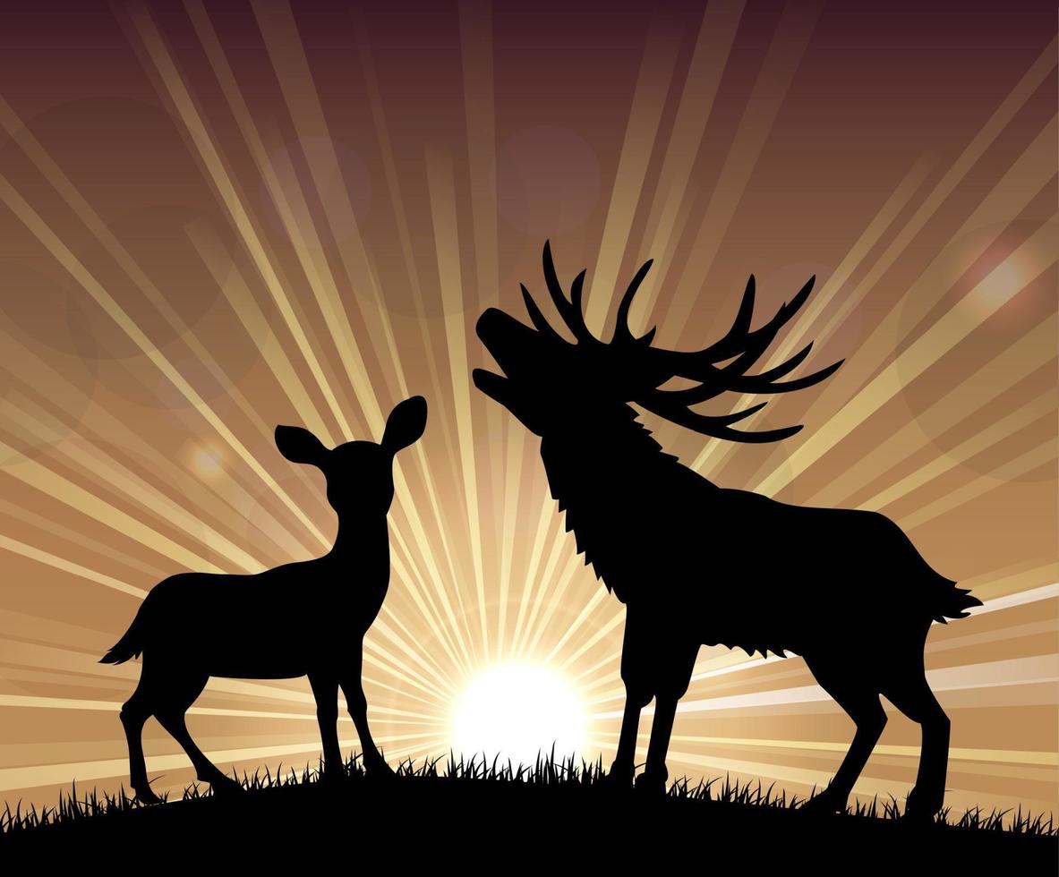 sagoma un canguro e cervo in piedi nel luminoso crepuscolo vettore
