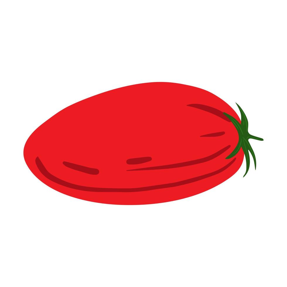 pomodoro disegnato a mano isolato su sfondo bianco. doodle verdure pomodorini. vettore