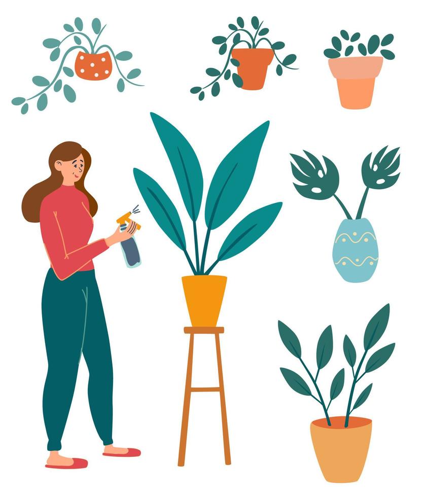 ragazza che innaffia i fiori. fiori domestici per l'interno. concetto di irrigazione e cura dei fiori domestici. decorazioni ed elementi di interior design. giardinaggio e hobby. illustrazioni vettoriali dei cartoni animati