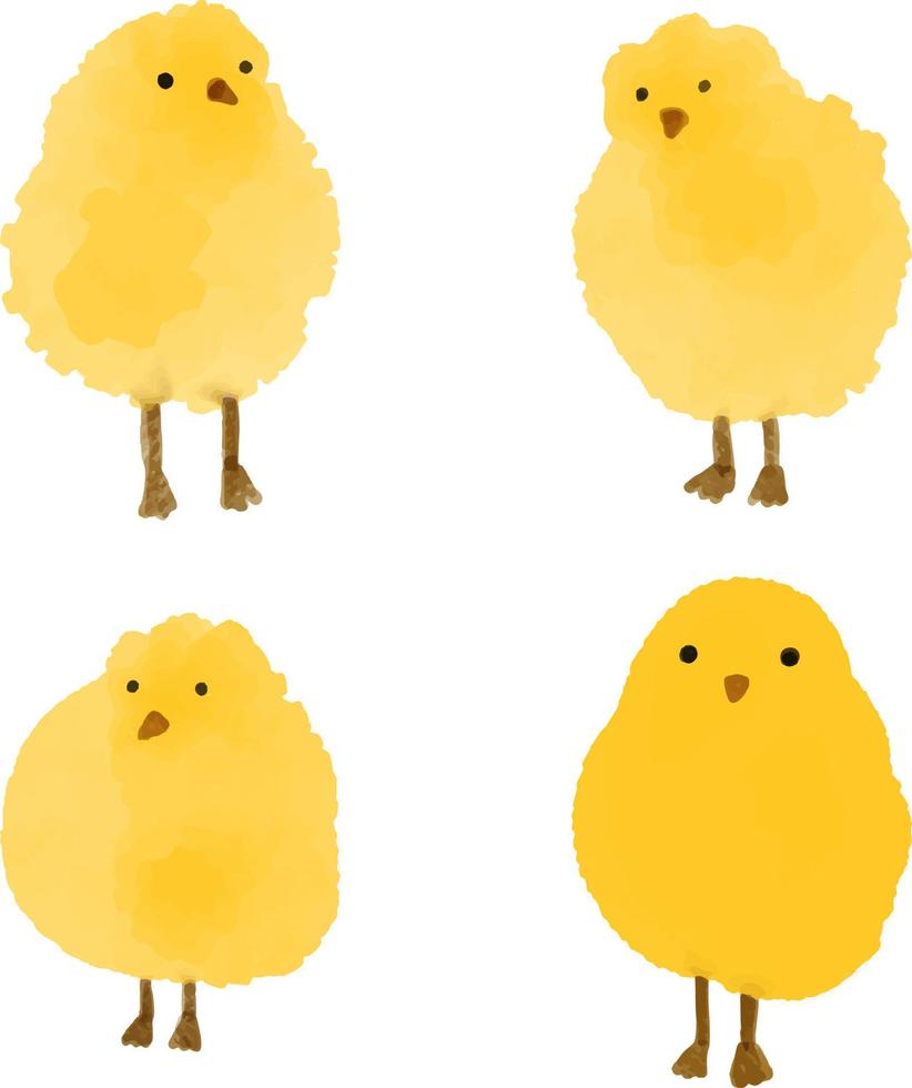 illustrazioni vettoriali di piccoli polli gialli ad acquerello. immagine disegnata a mano, artistica, a colori di polli in stile acquerello su sfondo bianco. baby shower, design della carta di pasqua.