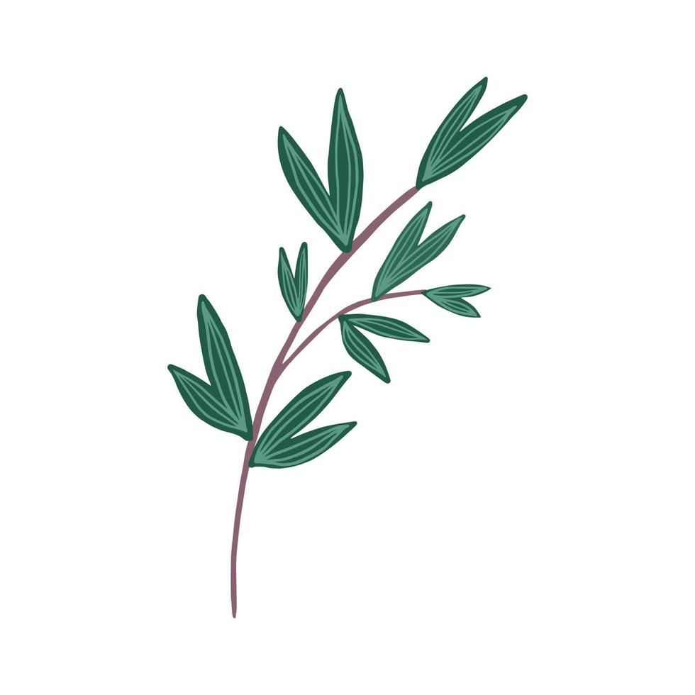 ramo disegnato a mano con foglie vettore