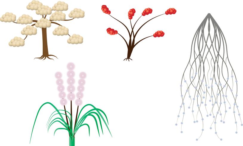 Fondo bianco della raccolta dell&#39;albero vettore