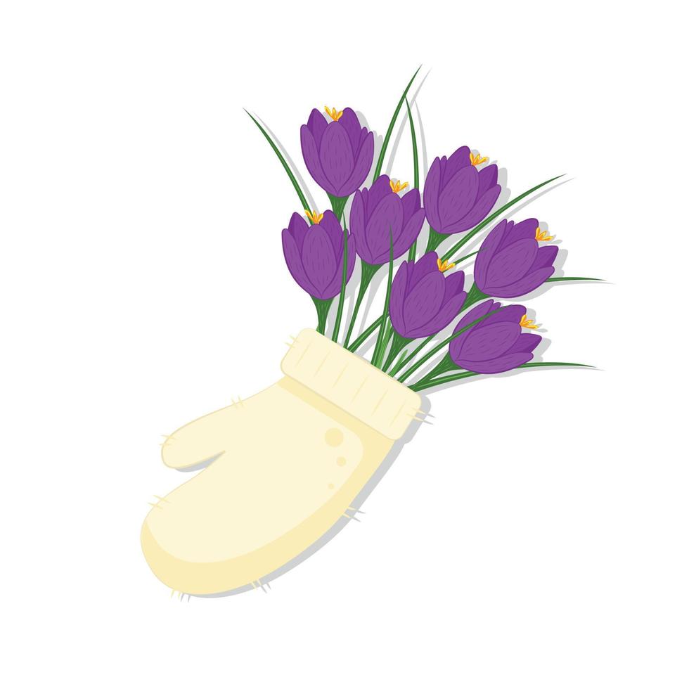 bouquet di crochi viola in un guanto bianco primule ciao primavera vettore