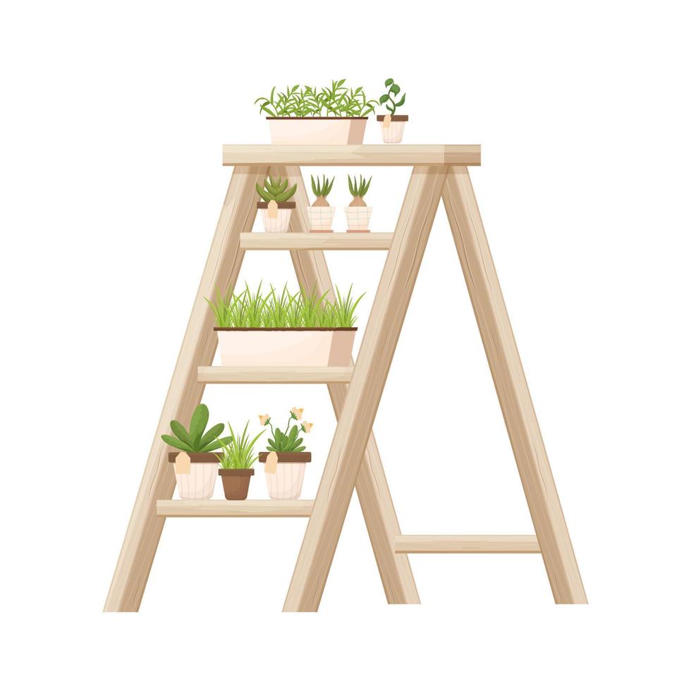 scaffalature in legno, scala con piante in vaso, fiori in stile cartone animato isolati su sfondo bianco. fiorista, pubblicità per negozi di fiori, decorazione. giardinaggio, elemento di semina. illustrazione vettoriale