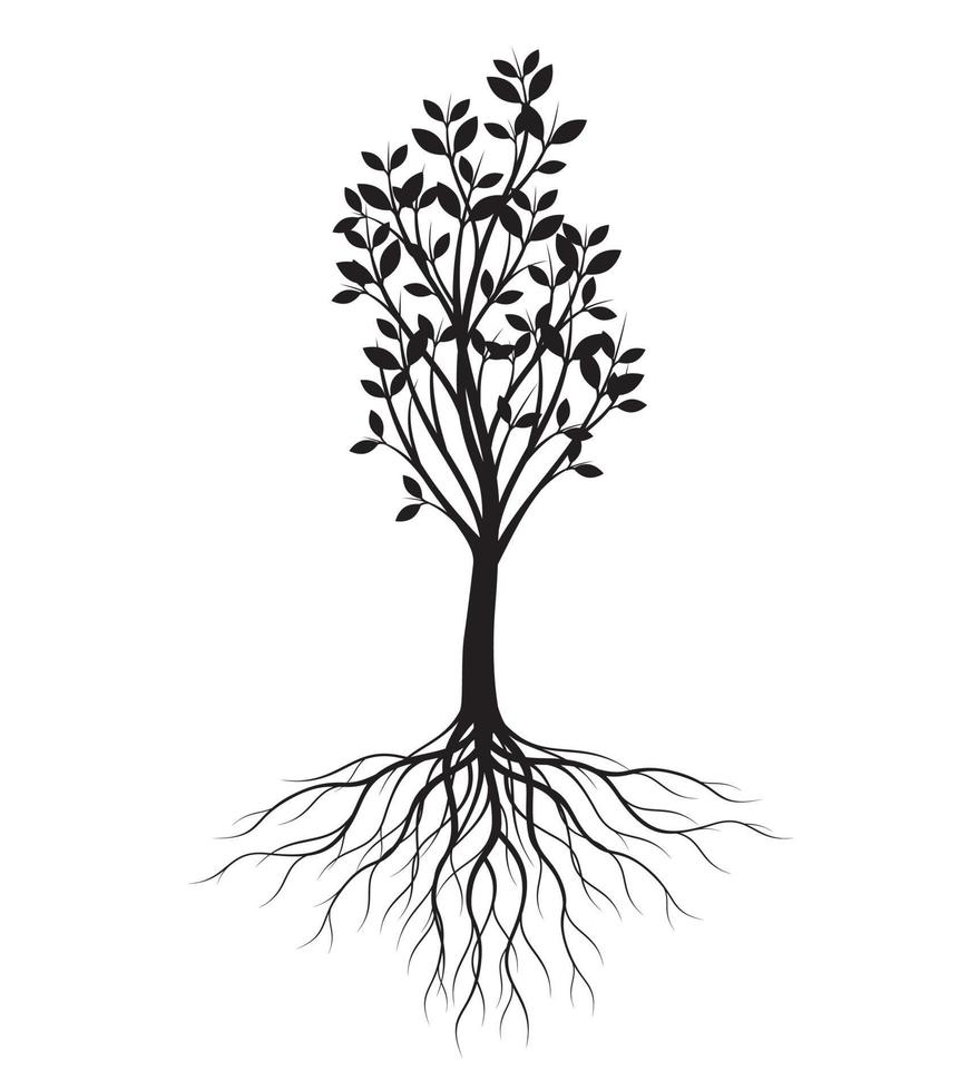 forma nera dell'albero con foglie e radici. illustrazione del contorno vettoriale. pianta in giardino. vettore