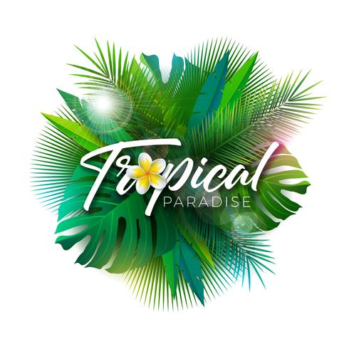 Illustrazione di paradiso tropicale di estate con la lettera di tipografia e piante esotiche su priorità bassa bianca. Vector Holiday Design con foglie di palma e filodendro