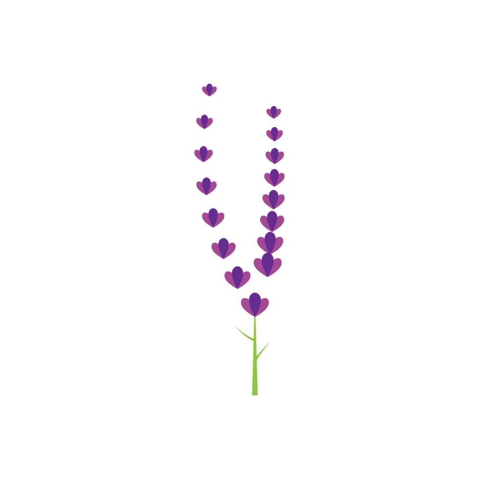 design piatto di vettore di logo di fiori di lavanda fresca