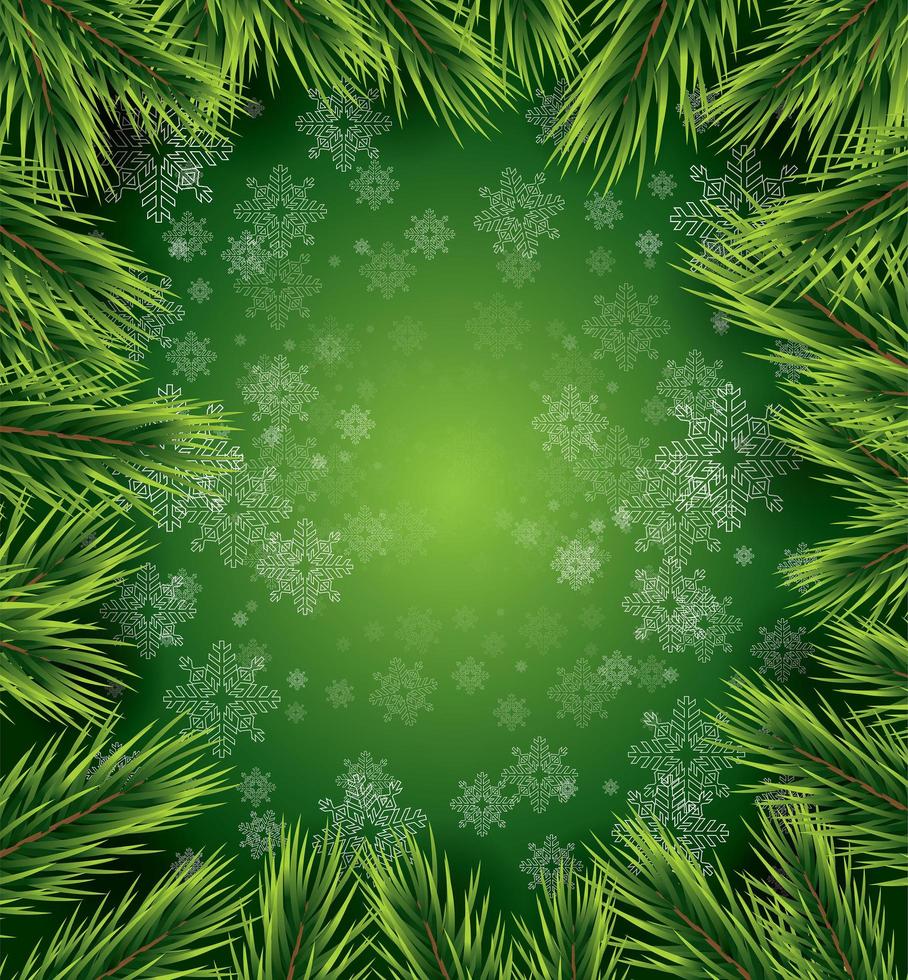 cartolina di Natale con fiocchi di neve bianchi e ramo di pino. vettore