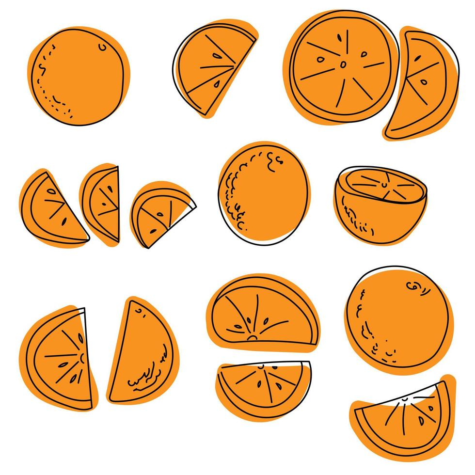 set di arance contorno scarabocchi su una macchia di colore, agrumi succosi arancioni interi, metà e fette per il design vettore