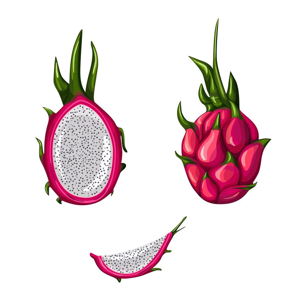 set di frutta matura drago rosso isolato su sfondo bianco. intero, metà e affettare pitahaya. vettore