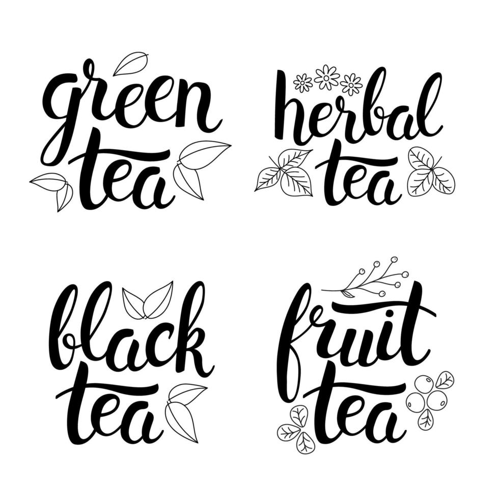 set di frasi scritte sul tè. tisane, tè alla frutta, tè verde e tè nero con fiori, foglie e bacche line art. vettore