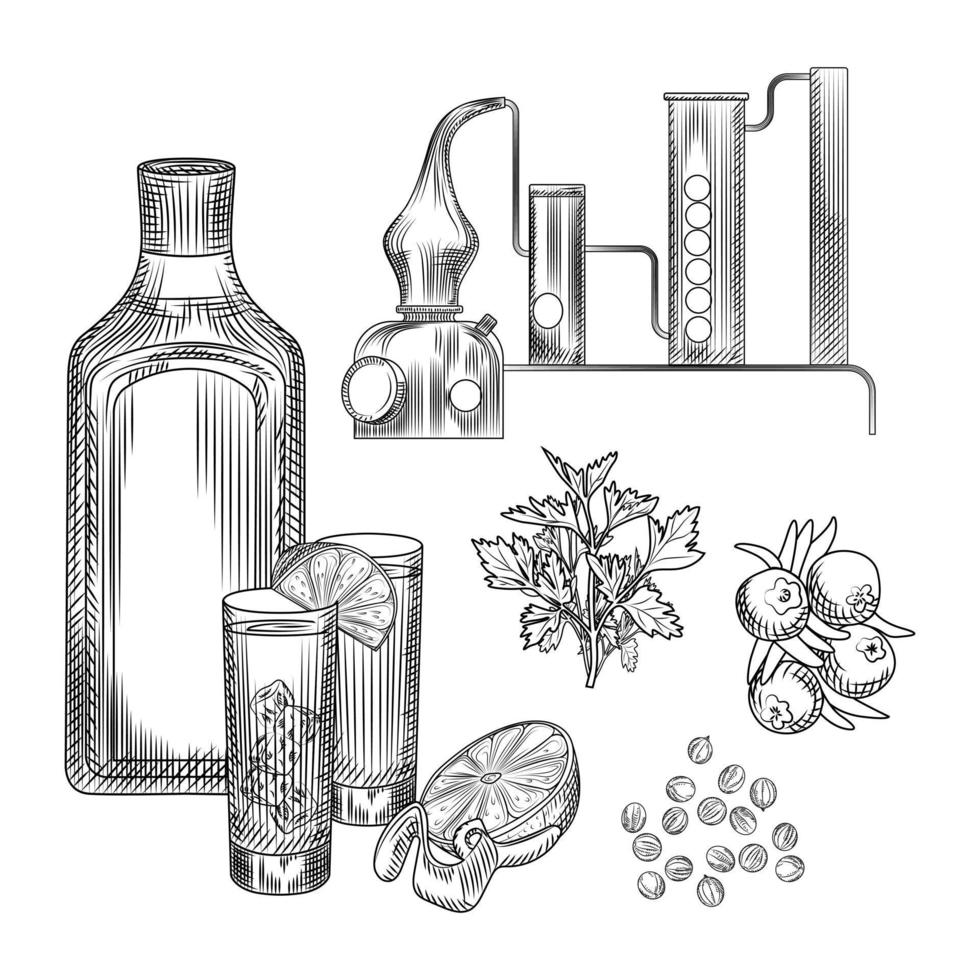 set di gin in stile disegnato a mano su sfondo bianco. bicchieri con gin tonic cocktail, alambicco, coriandolo, scorza di limone. vettore