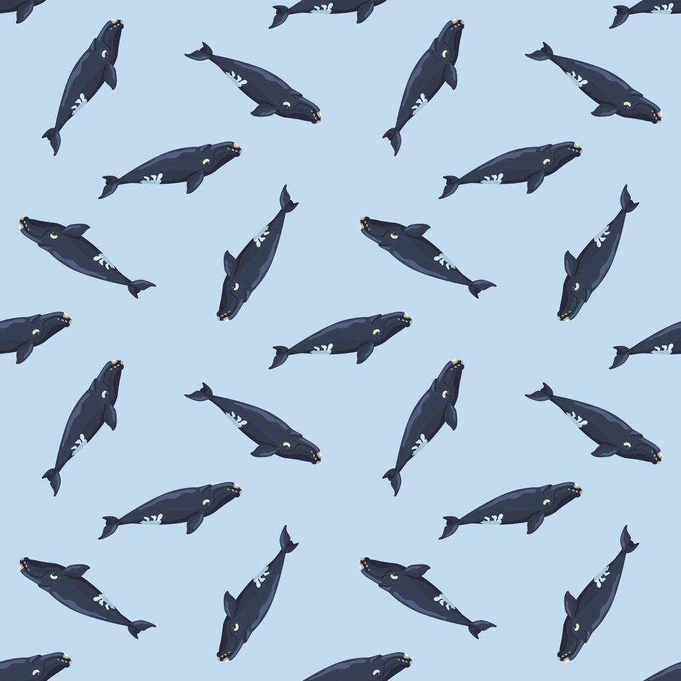 balena franca senza cuciture su sfondo azzurro. modello di personaggio dei cartoni animati dell'oceano per tessuto. vettore