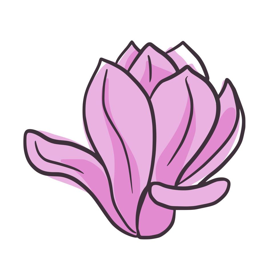 bella rosa magnolia giapponese isolata su sfondo bianco. bocciolo floreale primaverile in stile doodle per qualsiasi scopo. vettore