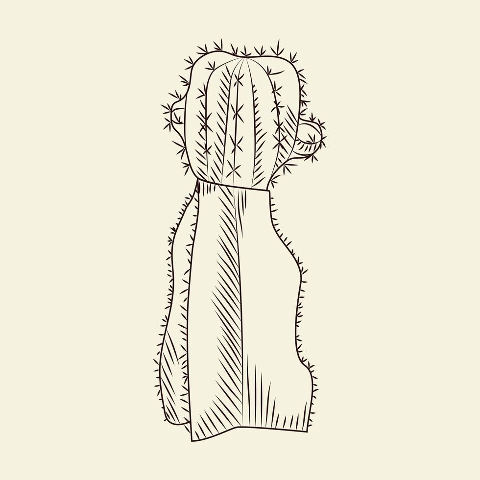 stenocereus pruinosus cactus isolato su sfondo chiaro. schizzo di cactus selvatici. vettore