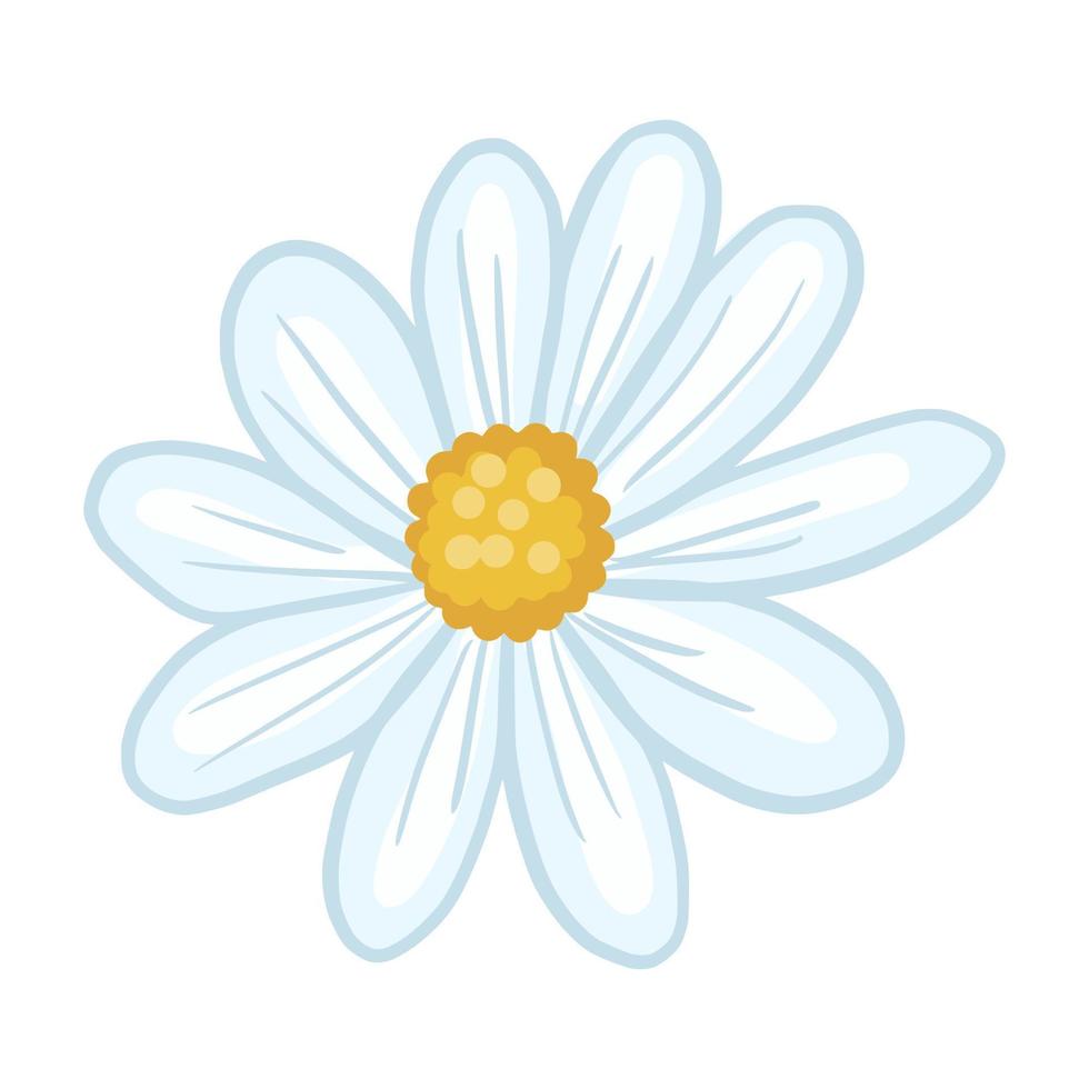 primo piano di camomilla isolato su sfondo bianco. fiore di primavera in stile doodle per qualsiasi scopo. vettore