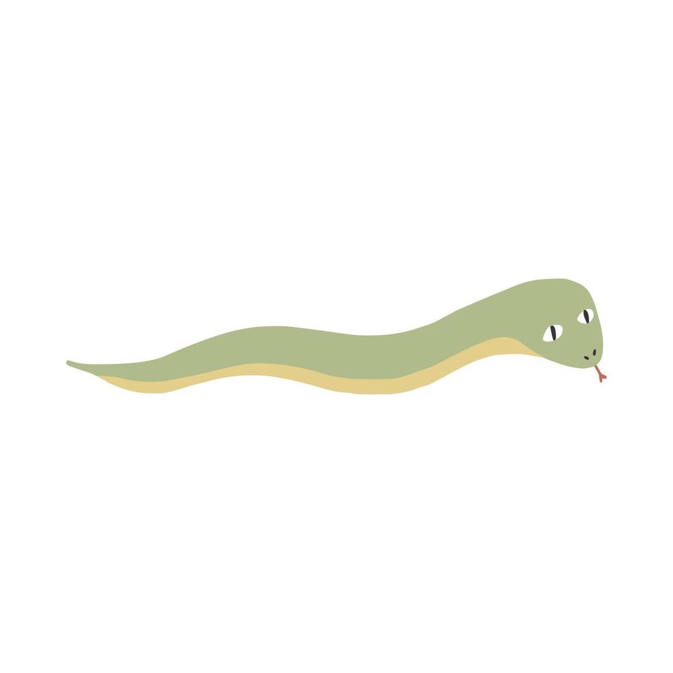 simpatico serpente verde isolato su sfondo bianco. divertente gattonare dei rettili della natura tropicale selvaggia. vettore