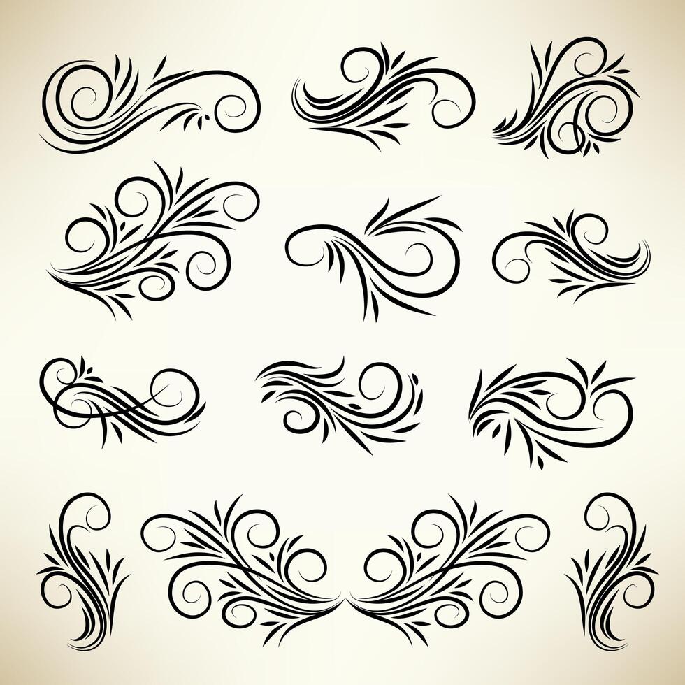 Set ornamenti di turbinio calligrafici d&#39;epoca vettore