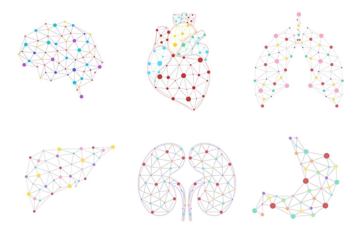 modello di banner di poli basso punto di organi interni umani. cervello, fegato, stomaco, cuore, polmoni, reni illustrazione poligonale. poster scientifico di anatomia per l'illustrazione di vettore del layout di progettazione del libro di scuola.