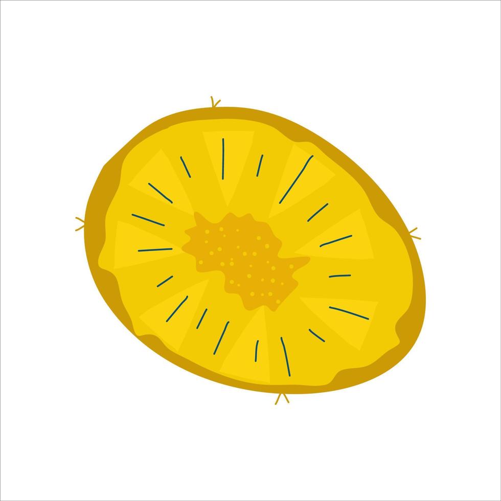 pezzo rotondo di ananas isolato su sfondo bianco frutta estiva dolce per il design. illustrazione vettoriale piatta.