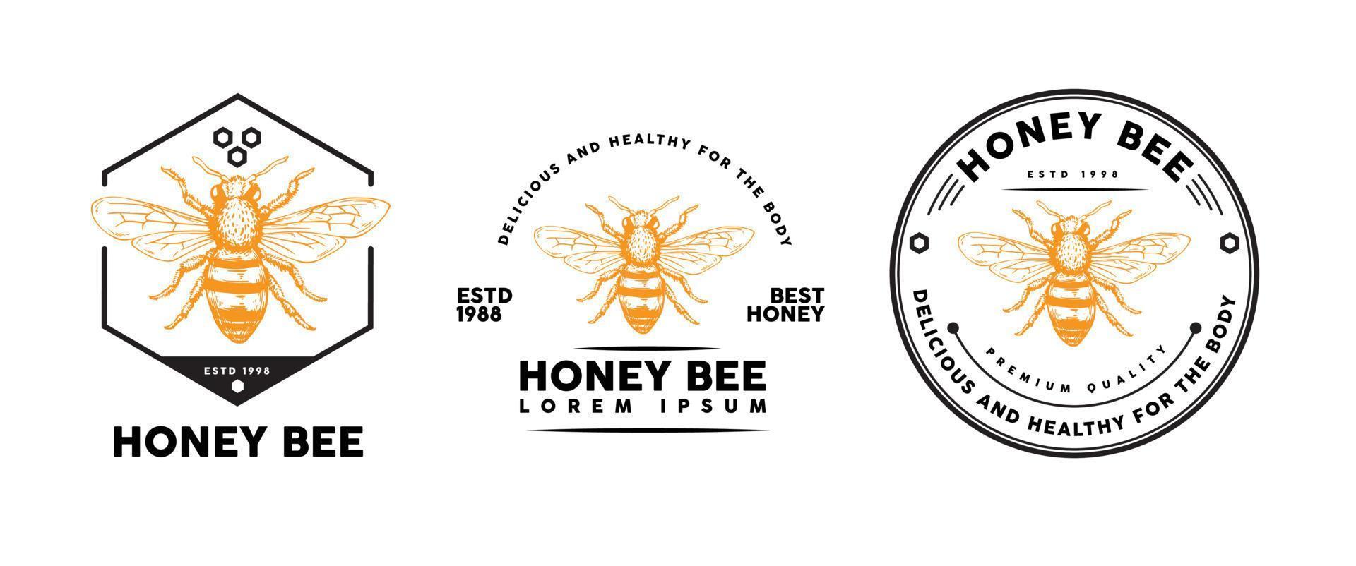 disegno del modello di logo dell'ape del miele vettore