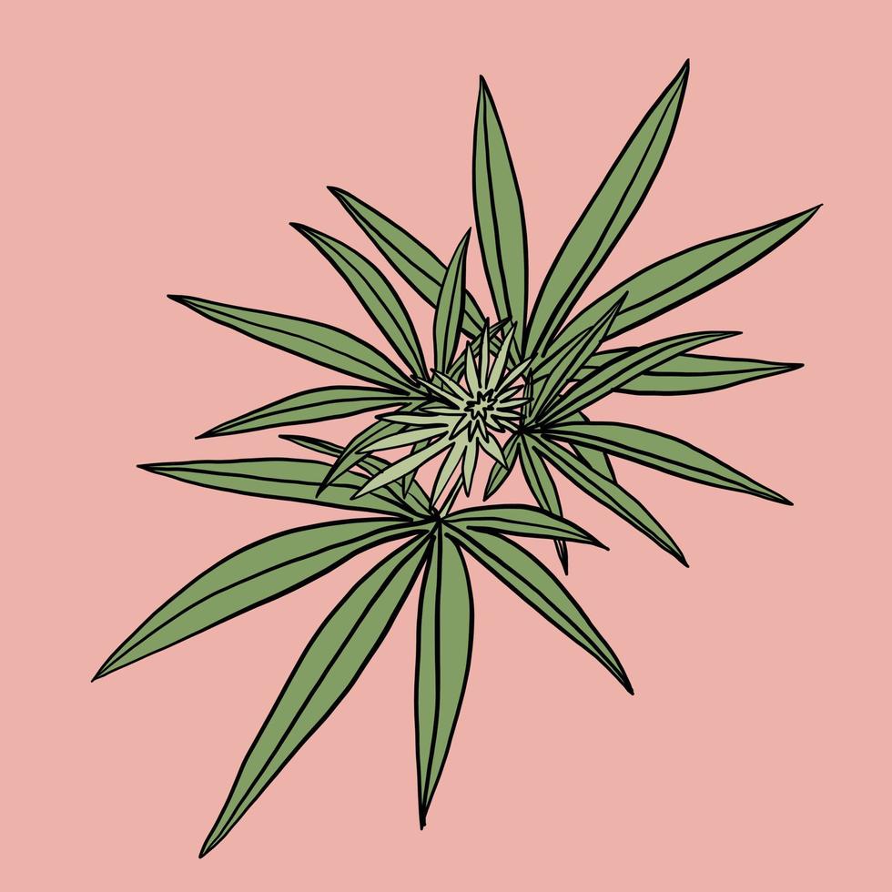 semplicità foglia di cannabis disegno a mano libera design piatto. vettore