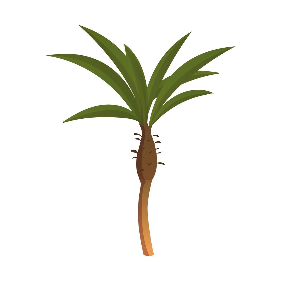 albero di palma verde alto realistico isolato su sfondo bianco - vettore