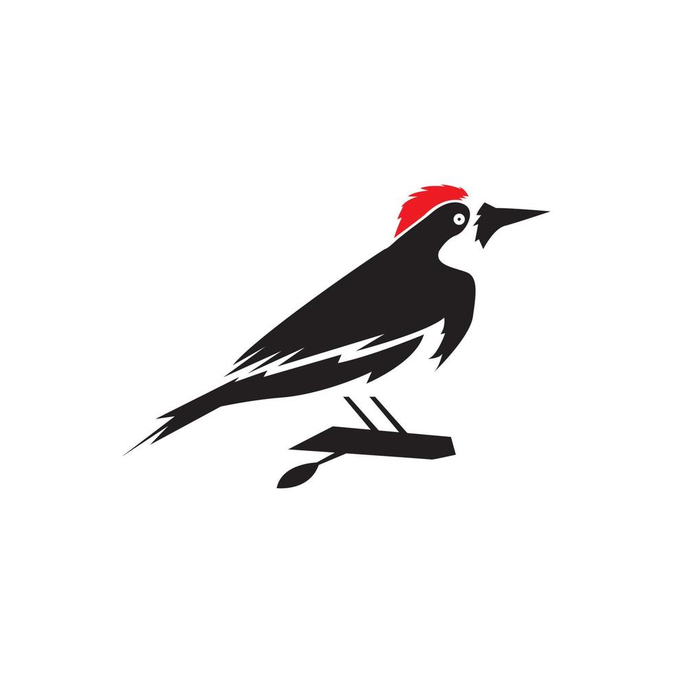 Picchio uccello di forma isolata con disegno del logo del ramo, illustrazione dell'icona del simbolo grafico vettoriale idea creativa