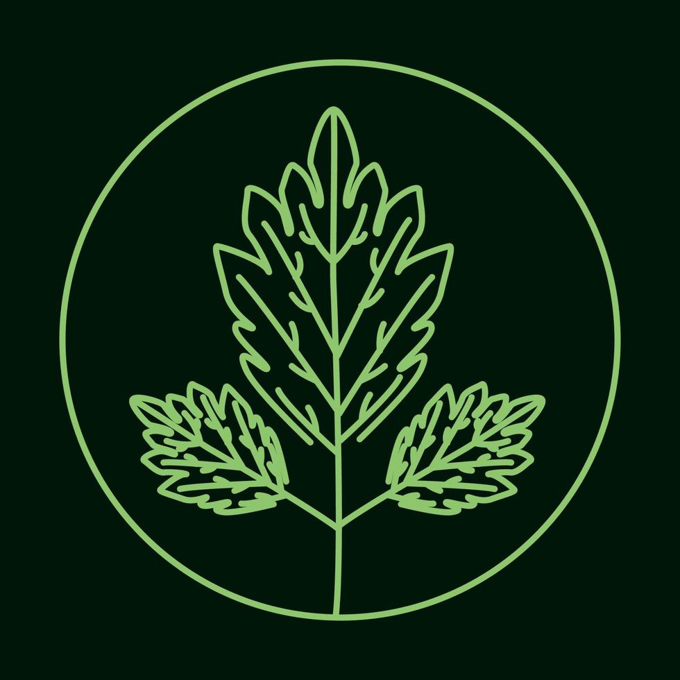 linee verdi foglia di menta cerchio logo design icona vettore simbolo illustrazione