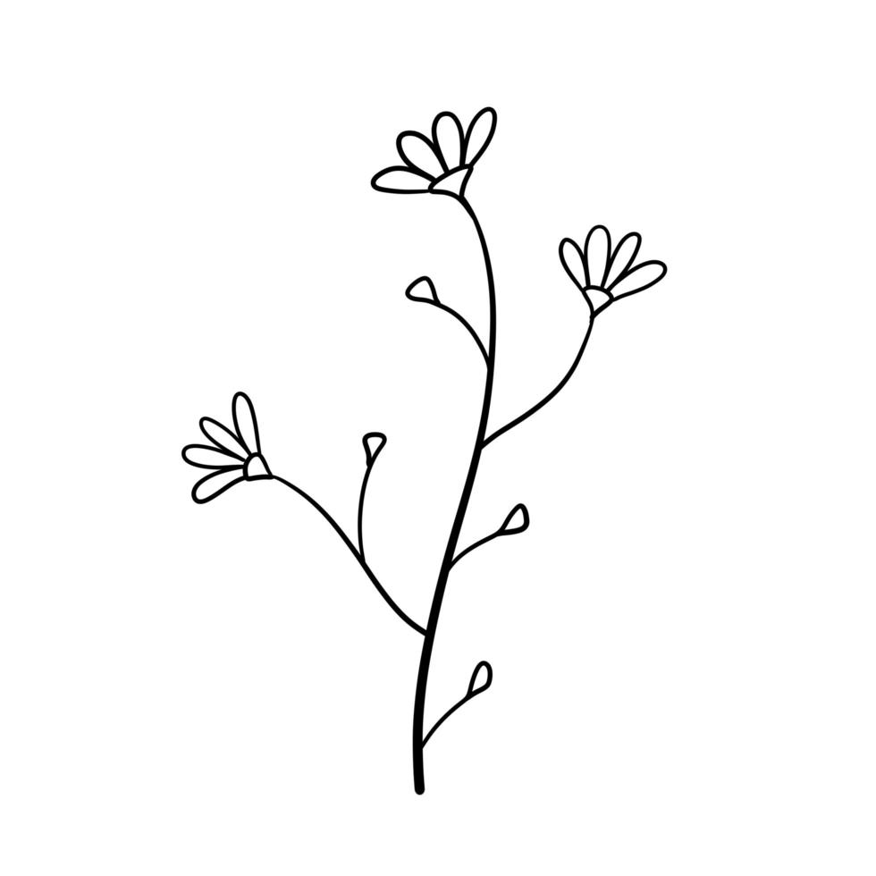 pianta naturale. fiore di doodle astratto. stelo con foglie vettore