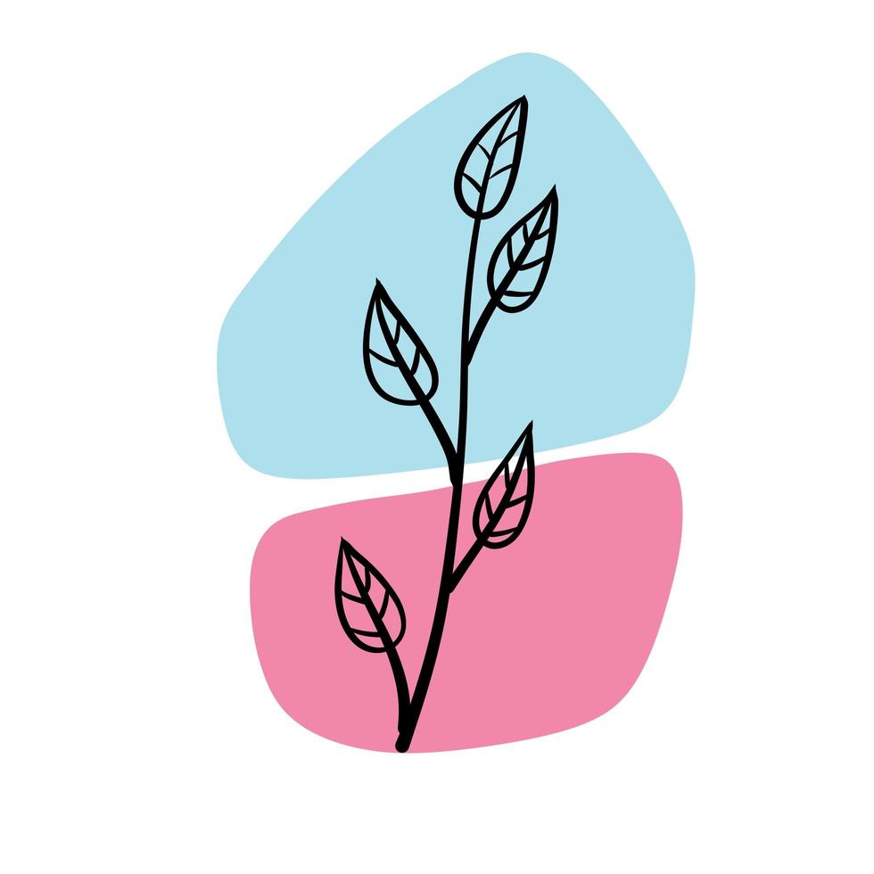 pianta su sfondo di macchie colorate. ramo botanico nero e motivo geometrico astratto blu e rosso in stile minimalista. oggetto di linea doodle vettore