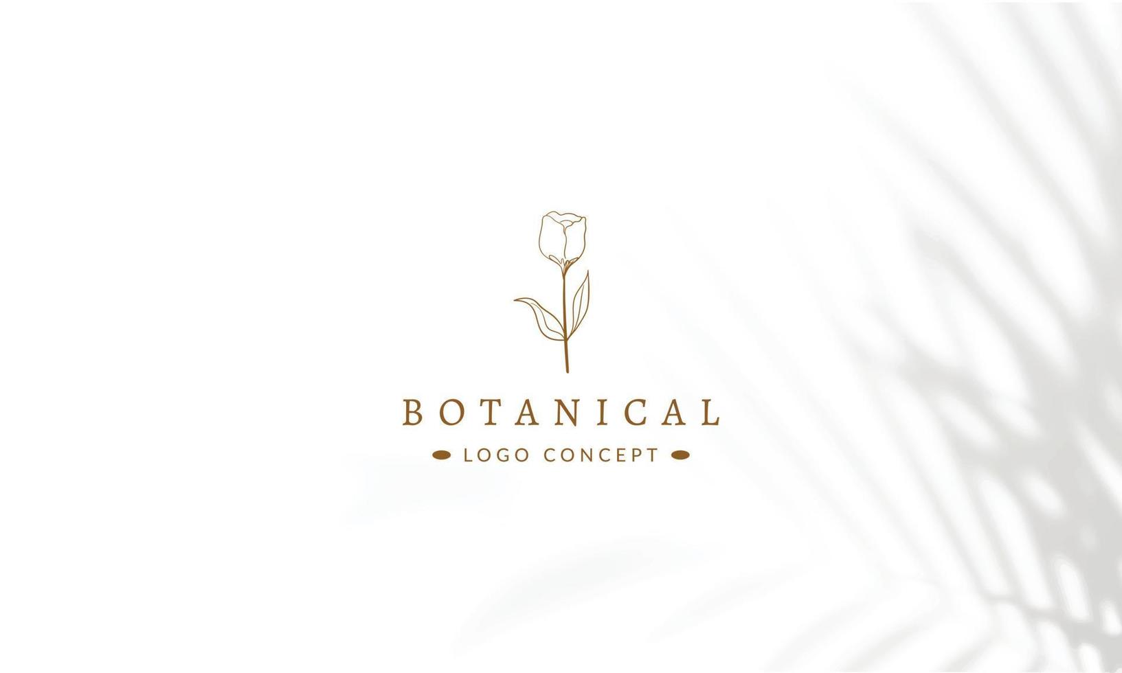 logo disegnato a mano di elemento floreale botanico con fiori selvatici e foglie. logo per spa e salone di bellezza, boutique, negozio biologico, matrimonio, designer floreale, interni, fotografia, cosmetici. vettore