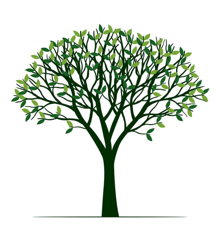 albero verde con radici. illustrazione del contorno vettoriale. pianta in giardino. vettore