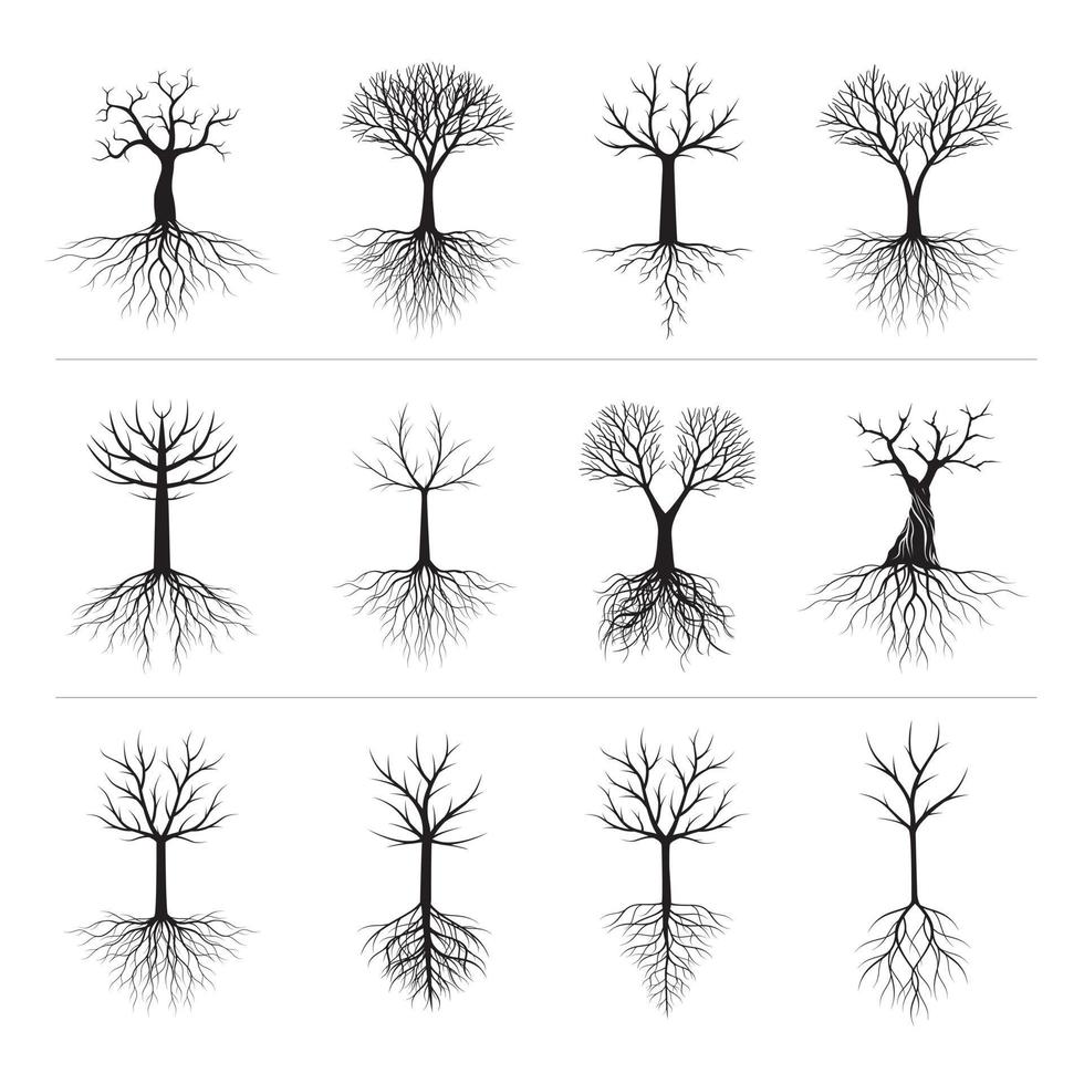 impostare alberi e radici neri. illustrazione vettoriale. vettore