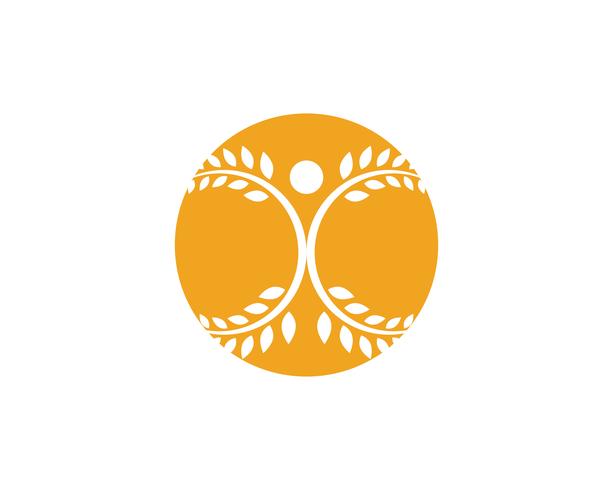 Modello di logo del grano di agricoltura, progettazione sana dell&#39;icona di vettore di logo di vita