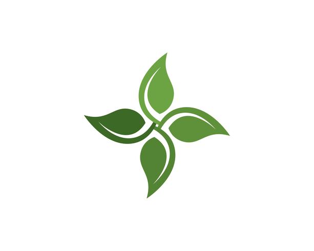 foglia verde natura logo e simbolo modello vettoriale