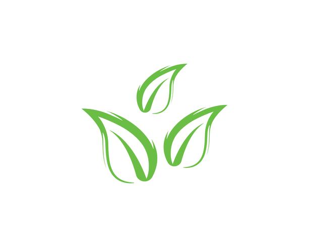 foglia verde natura logo e simbolo modello vettoriale ..